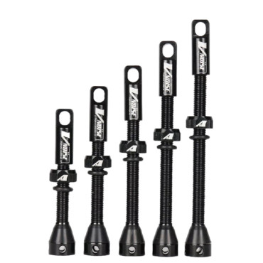 Lot de 2 valves tubeless...