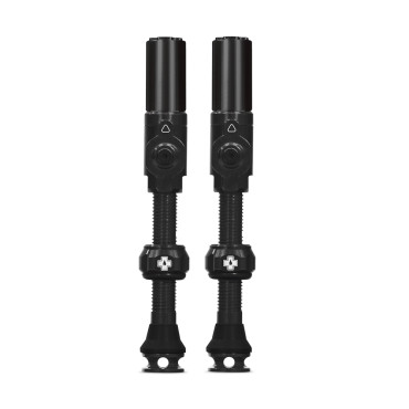 Lot de 2 valves Tubeless...