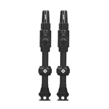 Lot de 2 valves Tubeless...