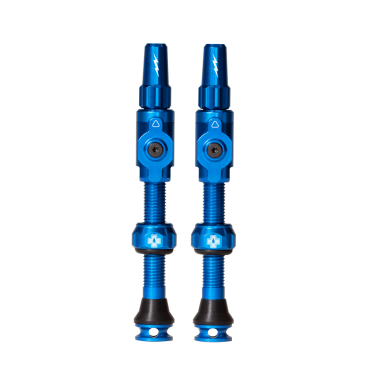 Lot de 2 valves Tubeless...