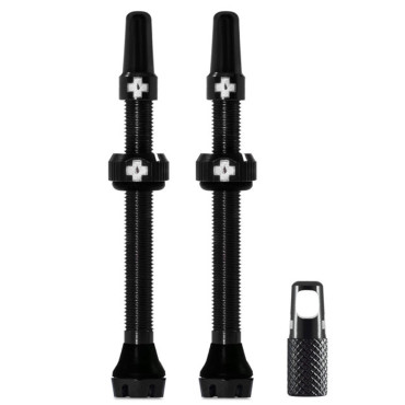 Lot de 2 valves tubeless...