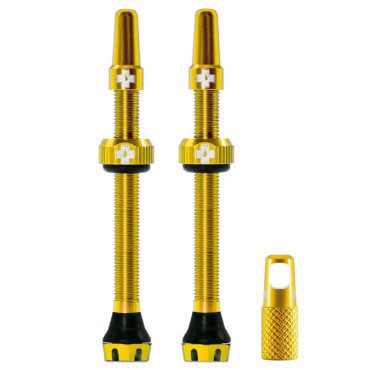 Lot de 2 valves tubeless...
