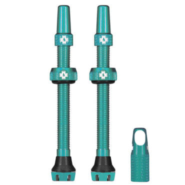 Lot de 2 valves tubeless...