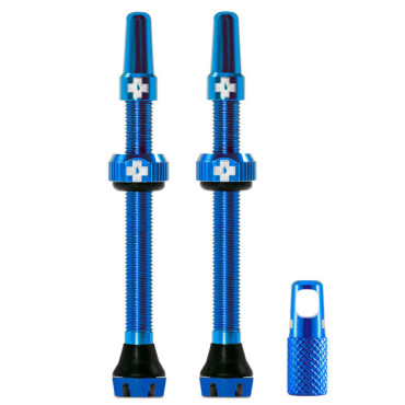 Lot de 2 valves tubeless...