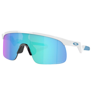 Oakley Resistor Polished...