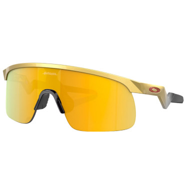 Oakley Resistor Gold /...