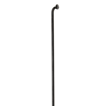 Kit de 20 rayons DT Swiss...