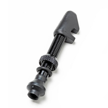 Válvula tubeless DT Swiss...