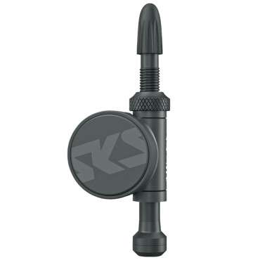 SKS Airspy avec capteur de...