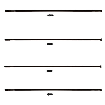 Campagnolo 4-spoke rear...