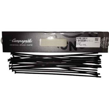 Campagnolo Shamal e Eurus...