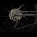 VTT semi-rigide 27,5 Trek Roscoe 6 Lithium Grey 2023