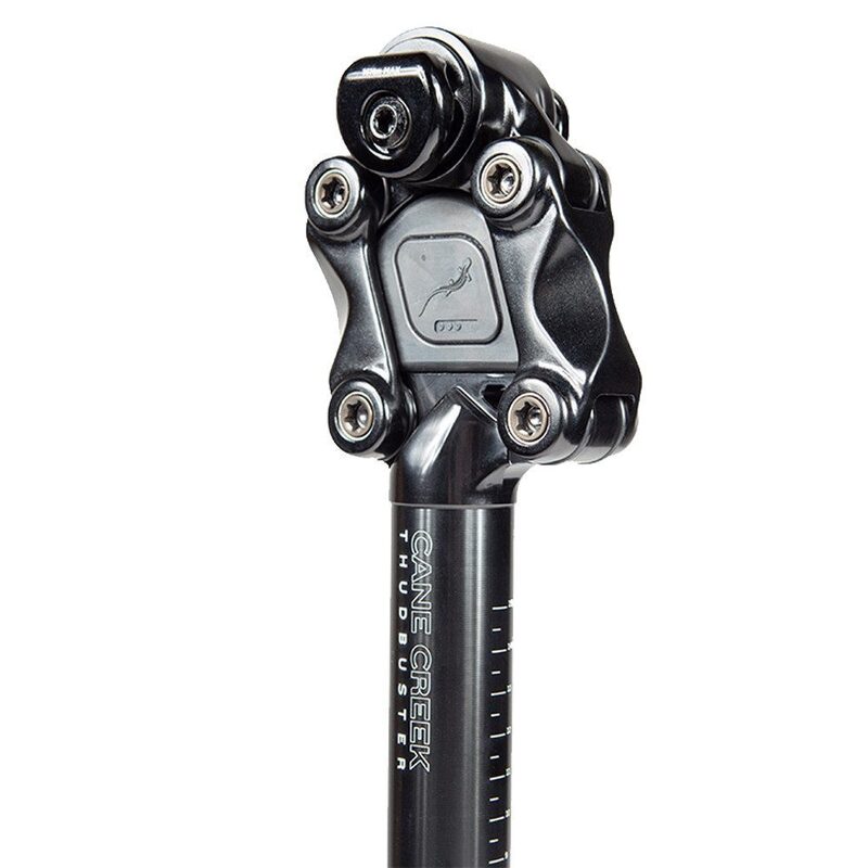 Geveerde zadelpen voor stadsfiets Cane Creek G4 Thudbuster ST