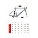 Kit cadre vélo route CBT Italia Necer Disc 99