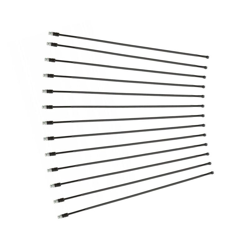 Lot de 12 rayons pour roues Mavic Ksyrium Pro Disc All Road Lot de 12 rayons pour roues Mavic Ksyrium Pro Disc All Road