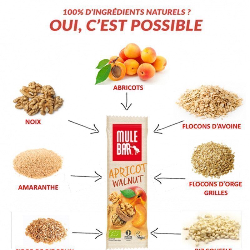 Barre énergétique Bio et Végan Mulebar Abricot-Noix 40g