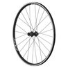 Roue arrière vélo route Shimano RS100 à pneu