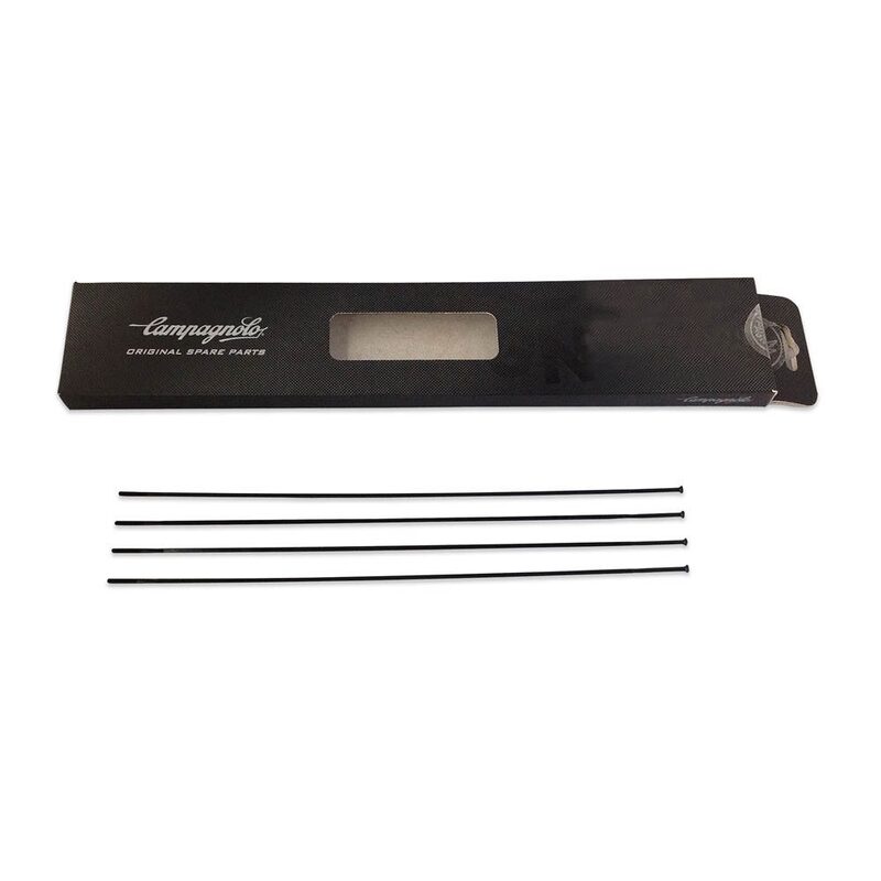 Kit 4 rayons roue vélo route arrière droit Campagnolo Bora Ultra 50