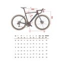 Vélo route et gravel Wilier Rave SLR Force AXS Wide 12v roues Trimax Sand 2022