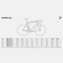 Vélo Gravel Pinarello Grevil F Campagnolo Ekar 13v Champagne CB303 2023 Vélo Gravel Pinarello Grevil F Campagnolo Ekar 13v Champagne CB303 2023