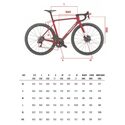 Vélo route Wilier Triestina 0 SLR Disc Shimano Ultegra Di2 12v Trimax Petrol 2023