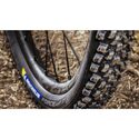 Pneu VTT 29 pouces Michelin Force AM 2 Competition Line TLR TS