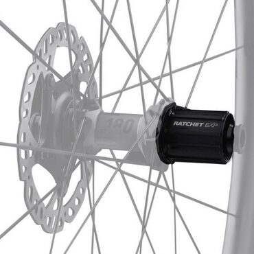 Corps de roue libre FFW Ratchet Campagnolo