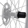 Corps de roue libre FFW Ratchet Campagnolo