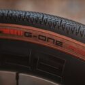 Pneu vélo gravel Schwalbe G-One RS