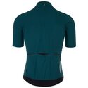 Maillot vélo manches courtes Q36.5 Pinstripe PRO