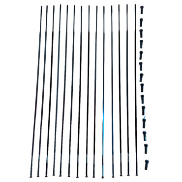 Kit di 14 raggi Mavic...