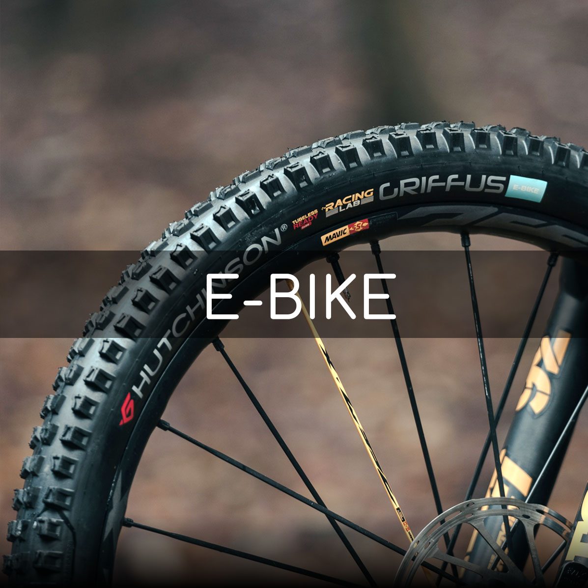 ebike