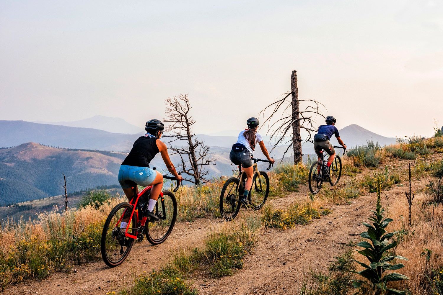 Quels sont les 10 meilleurs vélos gravel électriques ?